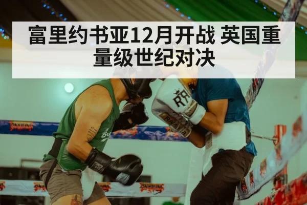 富里约书亚12月开战 英国重量级世纪对决