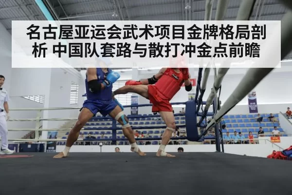 sanda kickboxing